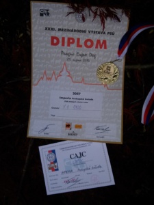 cam01362